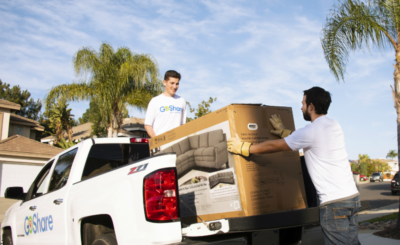 Tips To Transport Plants in A Car While Moving